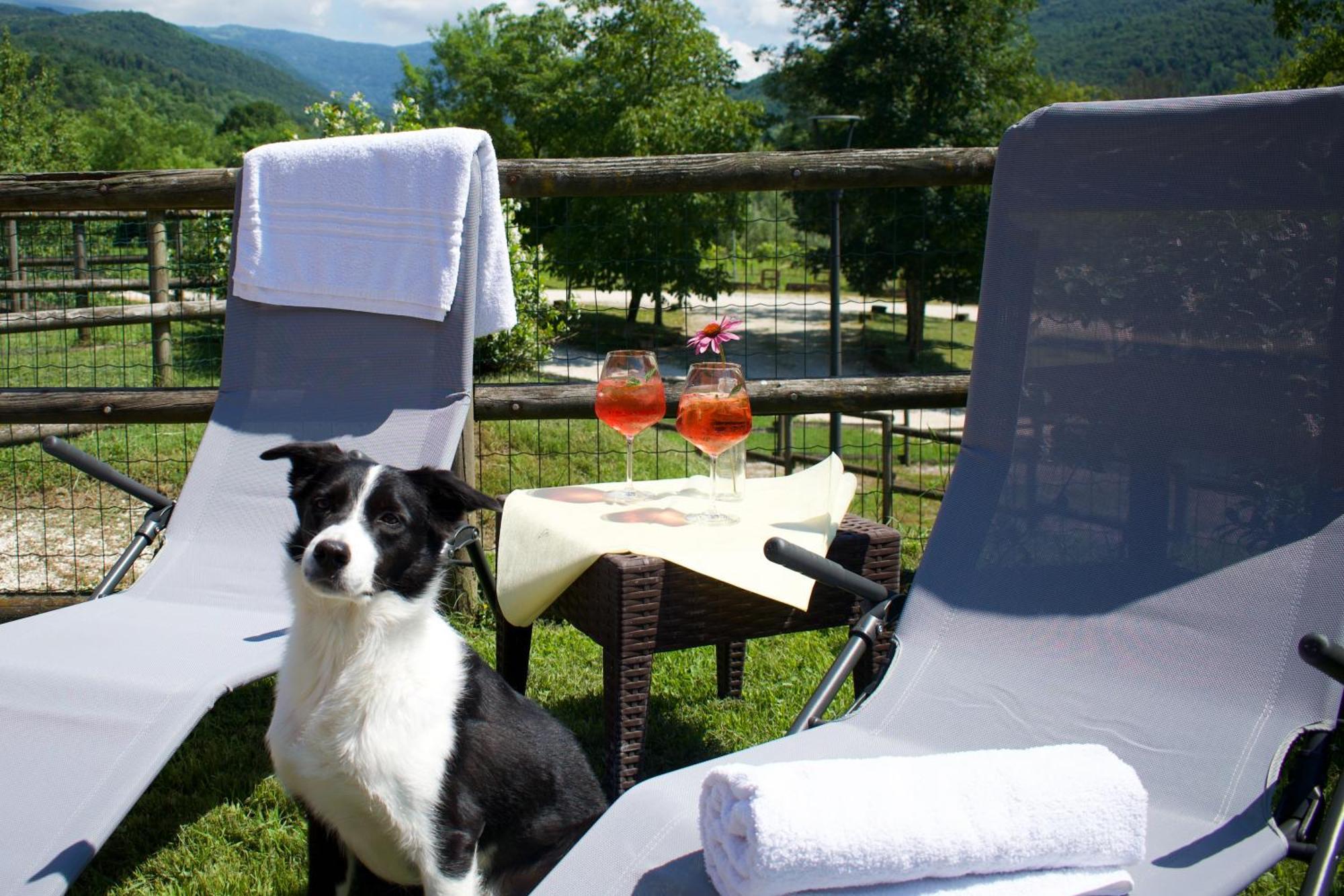 Agriturismo Monte Del Re San Pietro al Natisone Ngoại thất bức ảnh